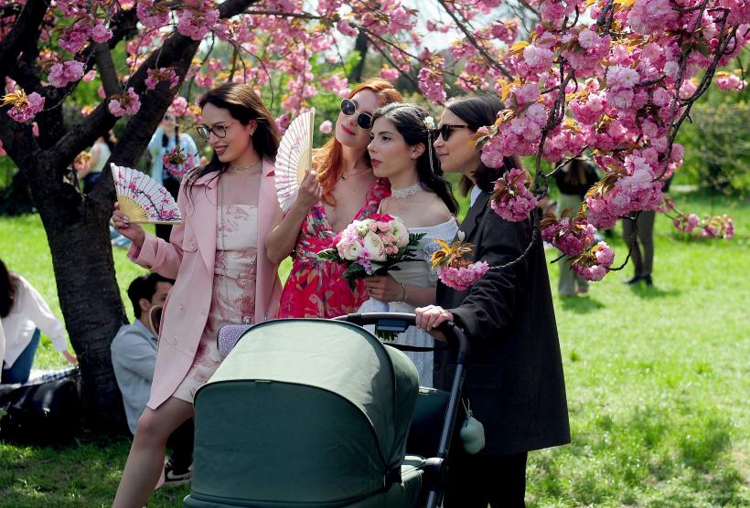 Hanami – sărbătoarea primăverii – în Grădina japoneză din Parcul Regele Mihai I (Herăstrău) 19004300