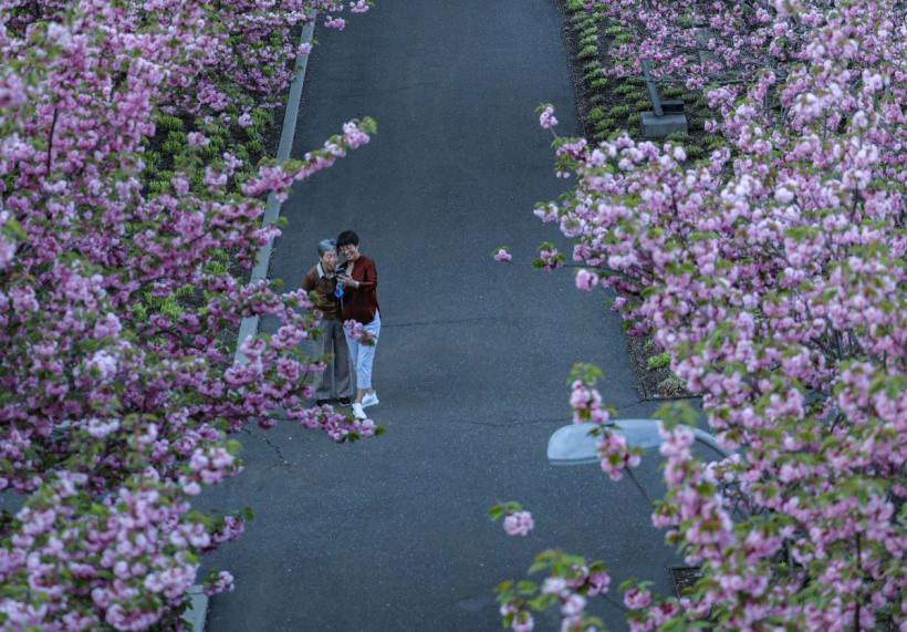 Horoscop 19 aprilie 2026: ziua marilor oportunități. Ce îți pregătesc astrele