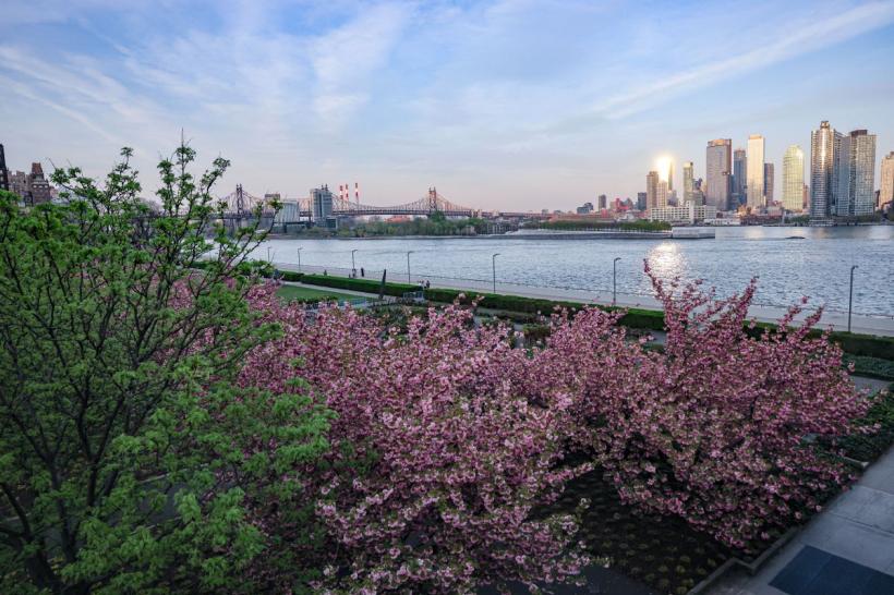 Patru zodii binecuvântate pe 19 aprilie 2026: ziua în care destinul le schimbă radical viața