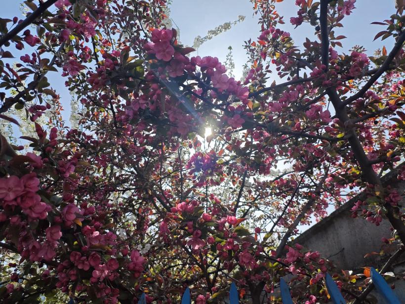 Horoscop mai 2026: zodiile care dau lovitura și cele care trebuie să fie prudente