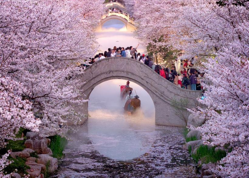 Șase zodii chinezești dau lovitura pe 19 aprilie 2026. Ziua în care intuiția aduce bani și oportunități