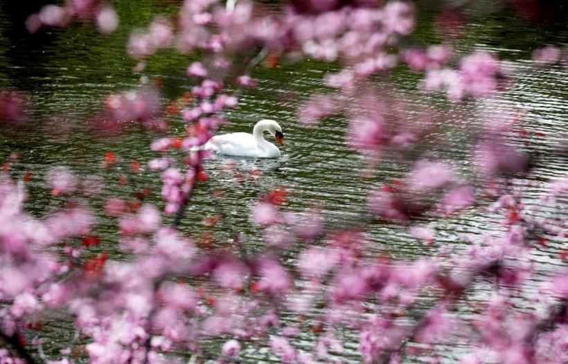 Sezonul Taurului 2026 schimbă regulile jocului: cine câștigă și cine trebuie să o ia de la capăt