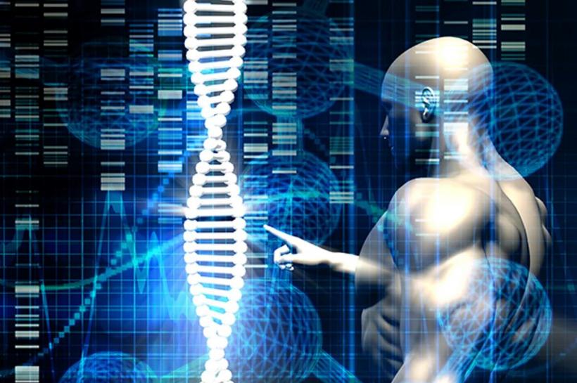 De ce îmbătrânim? Rolul telomerilor în (pre)lungirea vieții