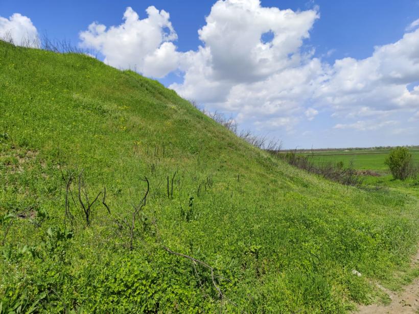Ipoteză șocantă: Cetatea Argedava, în vizorul vânătorilor de comori 19004361