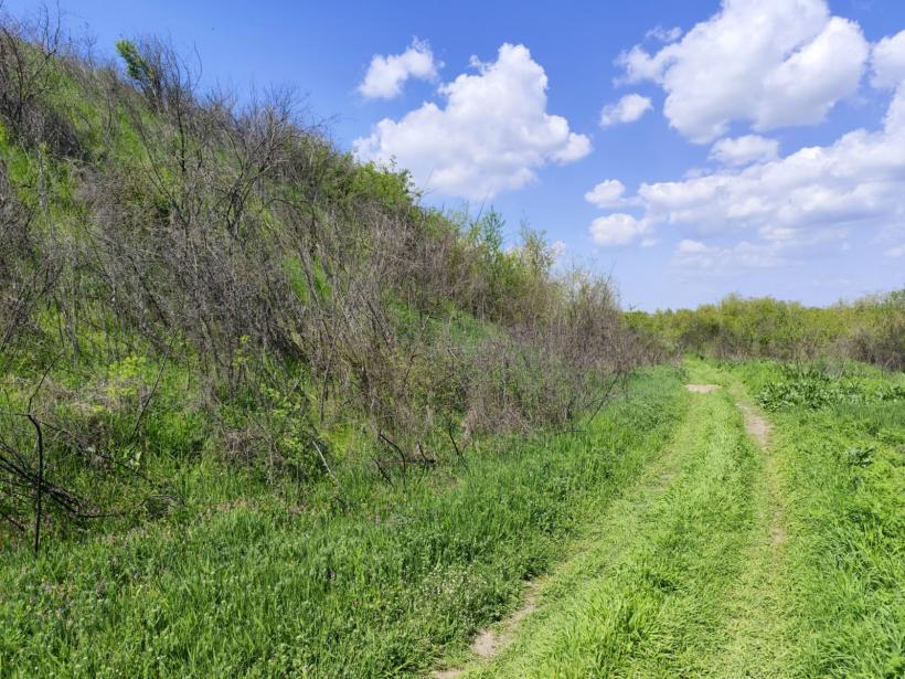 Ipoteză șocantă: Cetatea Argedava, în vizorul vânătorilor de comori 19004365