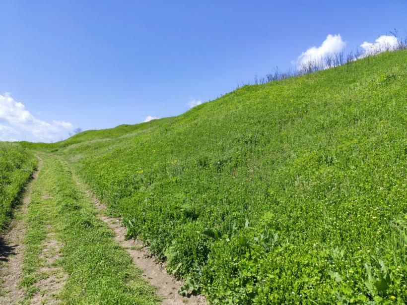 Ipoteză șocantă: Cetatea Argedava, în vizorul vânătorilor de comori 19004366