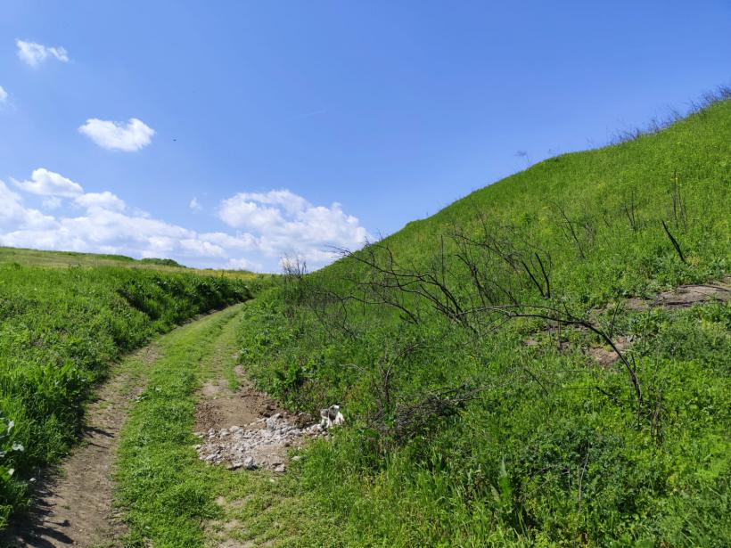 Ipoteză șocantă: Cetatea Argedava, în vizorul vânătorilor de comori 19004367