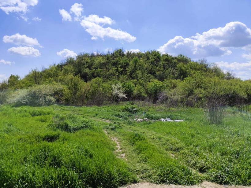 Ipoteză șocantă: Cetatea Argedava, în vizorul vânătorilor de comori 19004372