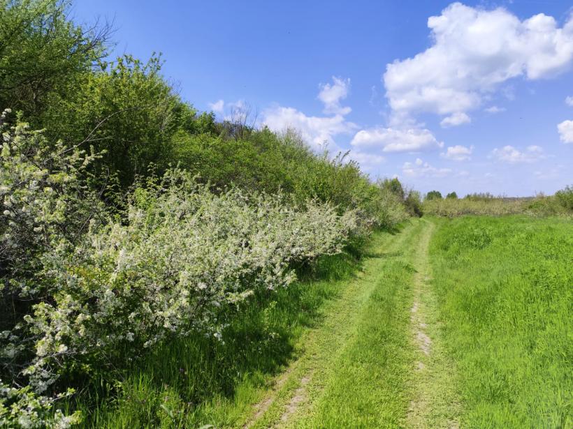 Ipoteză șocantă: Cetatea Argedava, în vizorul vânătorilor de comori 19004373