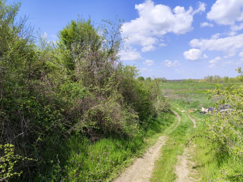 Ipoteză șocantă: Cetatea Argedava, în vizorul vânătorilor de comori 19004375