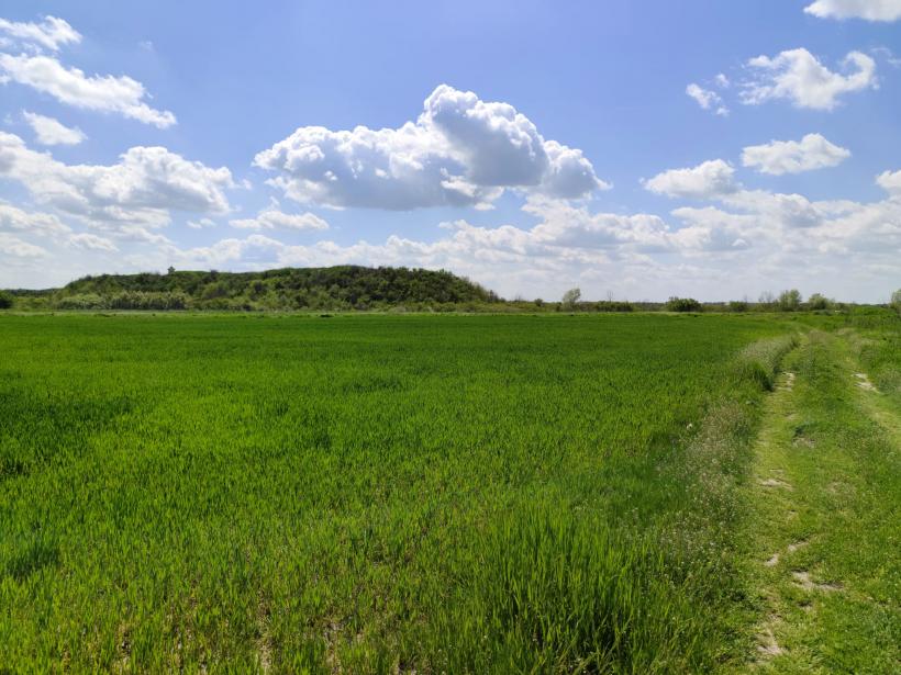 Ipoteză șocantă: Cetatea Argedava, în vizorul vânătorilor de comori 19004377