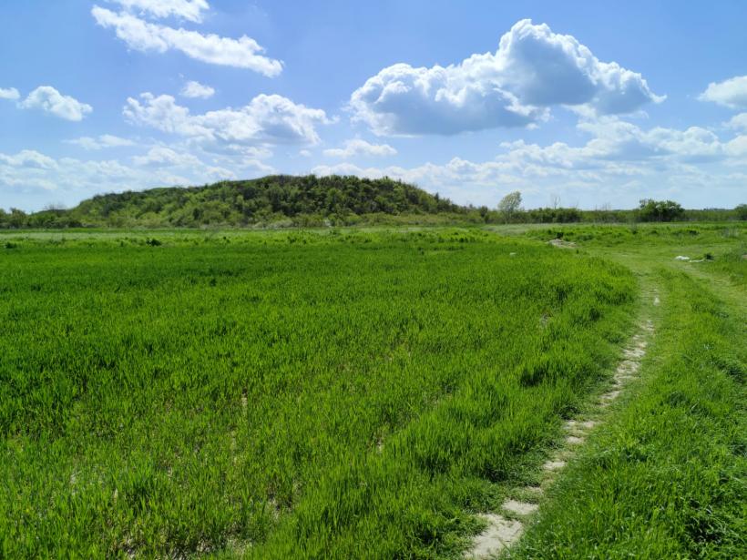 Ipoteză șocantă: Cetatea Argedava, în vizorul vânătorilor de comori 19004378