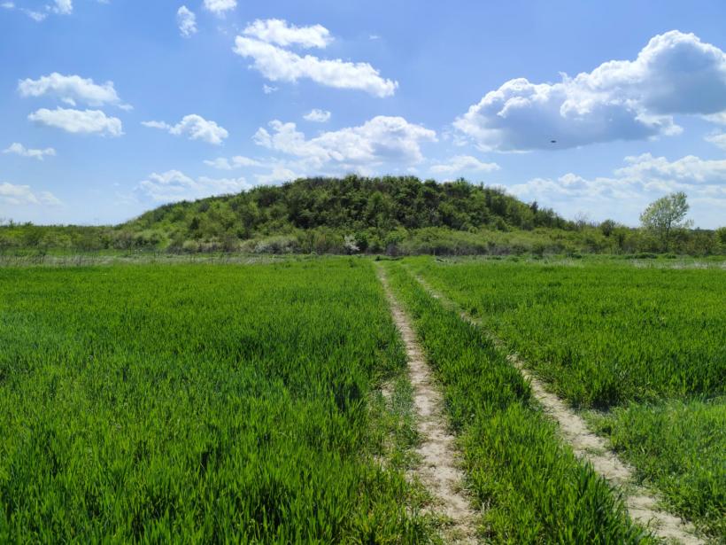 Ipoteză șocantă: Cetatea Argedava, în vizorul vânătorilor de comori 19004380