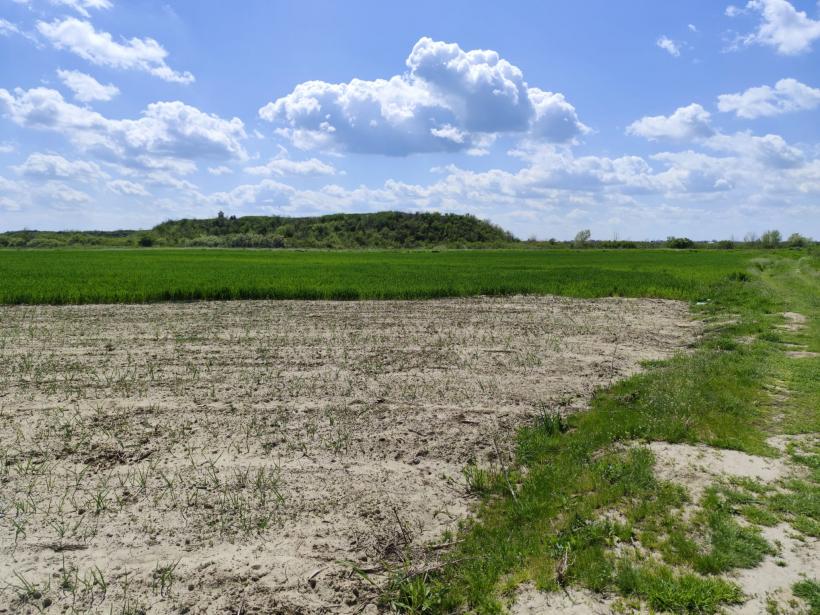 Ipoteză șocantă: Cetatea Argedava, în vizorul vânătorilor de comori 19004382