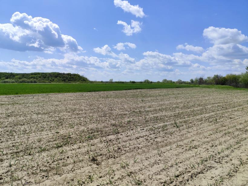 Ipoteză șocantă: Cetatea Argedava, în vizorul vânătorilor de comori 19004383