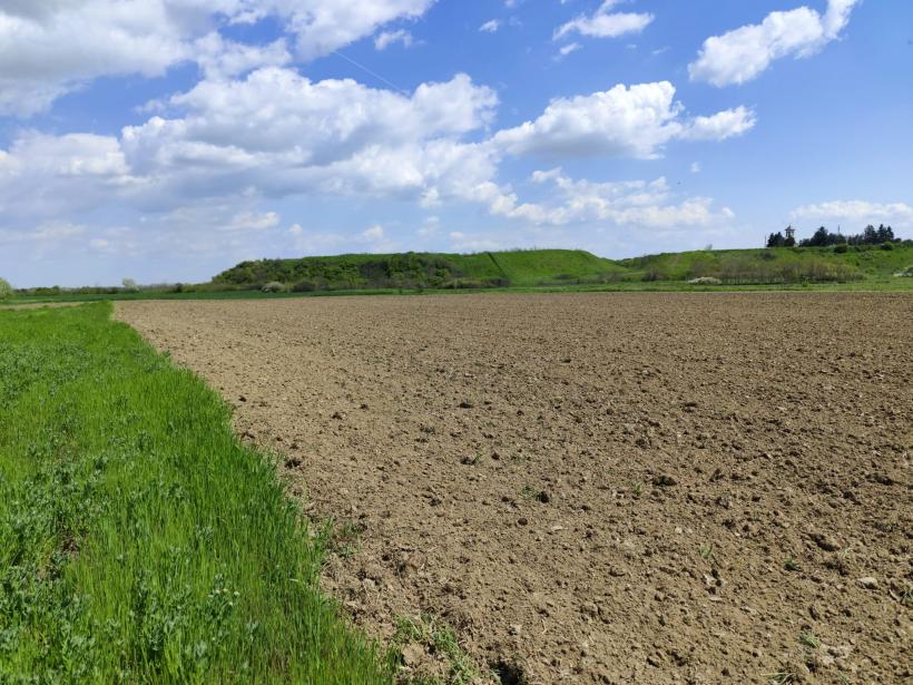 Ipoteză șocantă: Cetatea Argedava, în vizorul vânătorilor de comori 19004384