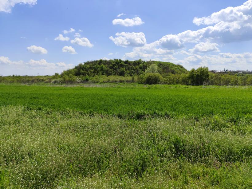 Ipoteză șocantă: Cetatea Argedava, în vizorul vânătorilor de comori 19004387