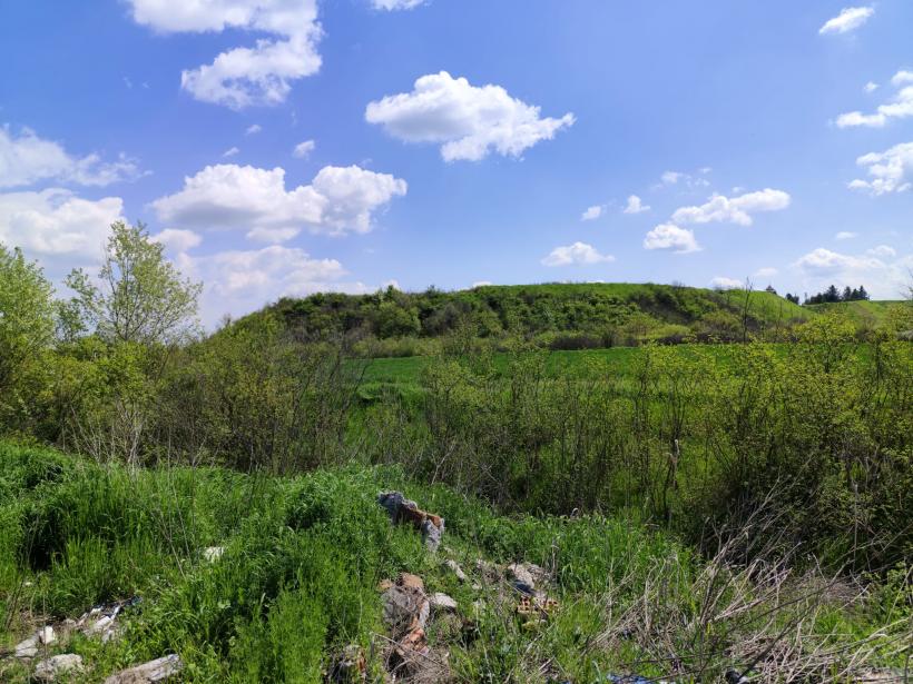 Ipoteză șocantă: Cetatea Argedava, în vizorul vânătorilor de comori 19004388