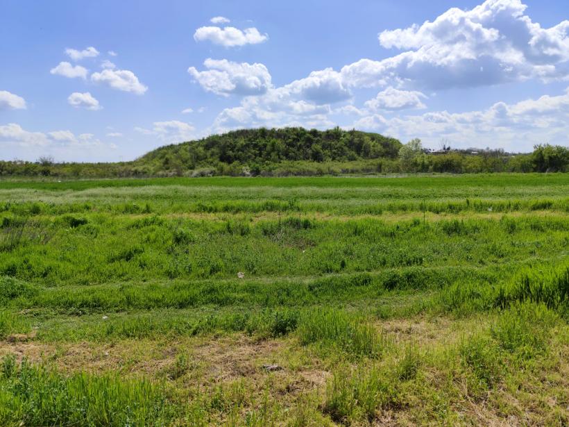 Ipoteză șocantă: Cetatea Argedava, în vizorul vânătorilor de comori 19004389