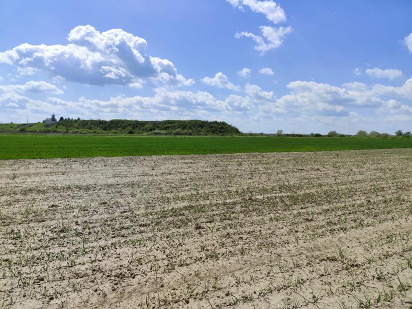 Ipoteză șocantă: Cetatea Argedava, în vizorul vânătorilor de comori 19004390