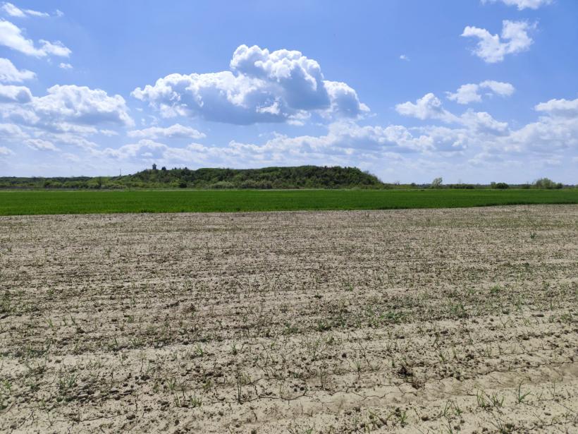 Ipoteză șocantă: Cetatea Argedava, în vizorul vânătorilor de comori 19004391