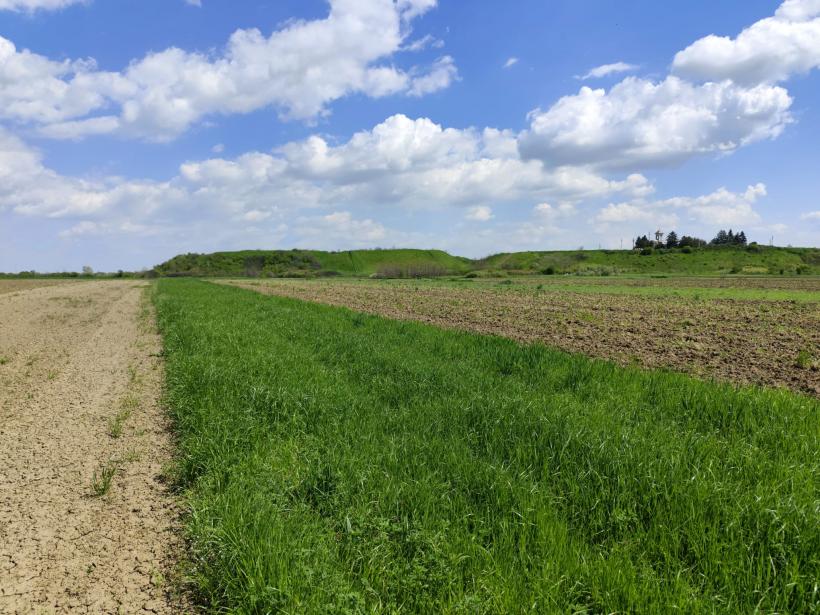 Ipoteză șocantă: Cetatea Argedava, în vizorul vânătorilor de comori 19004393