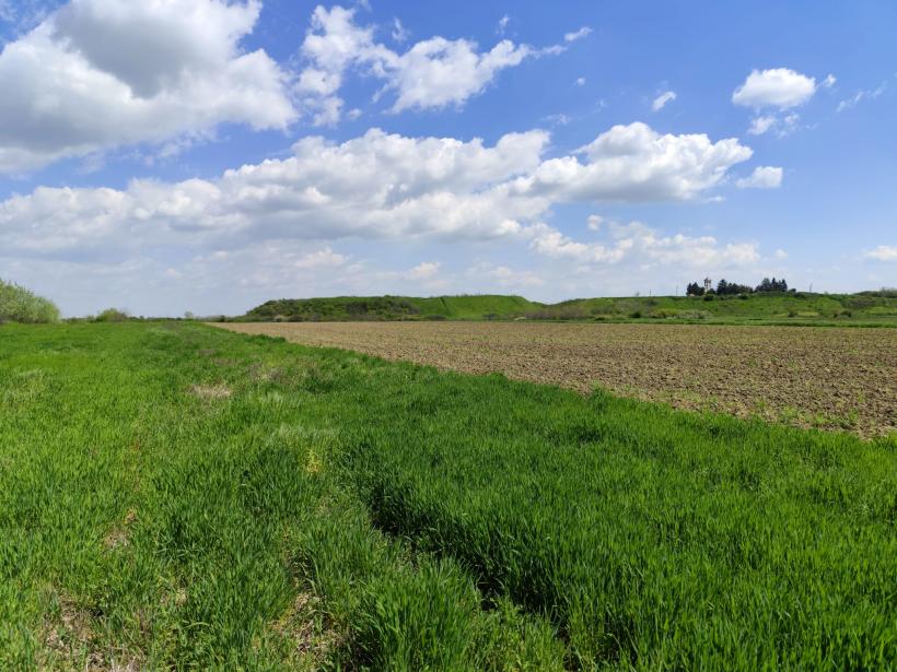Ipoteză șocantă: Cetatea Argedava, în vizorul vânătorilor de comori 19004398