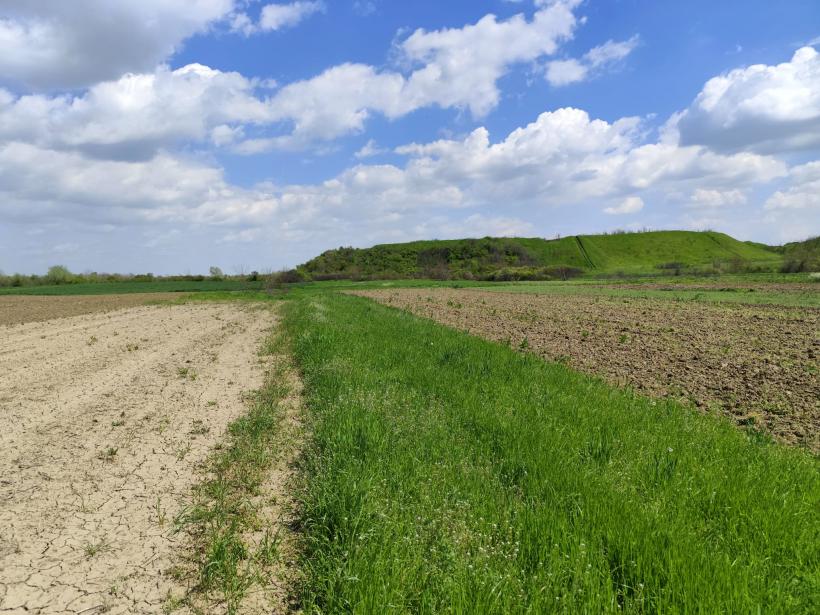 Ipoteză șocantă: Cetatea Argedava, în vizorul vânătorilor de comori 19004399