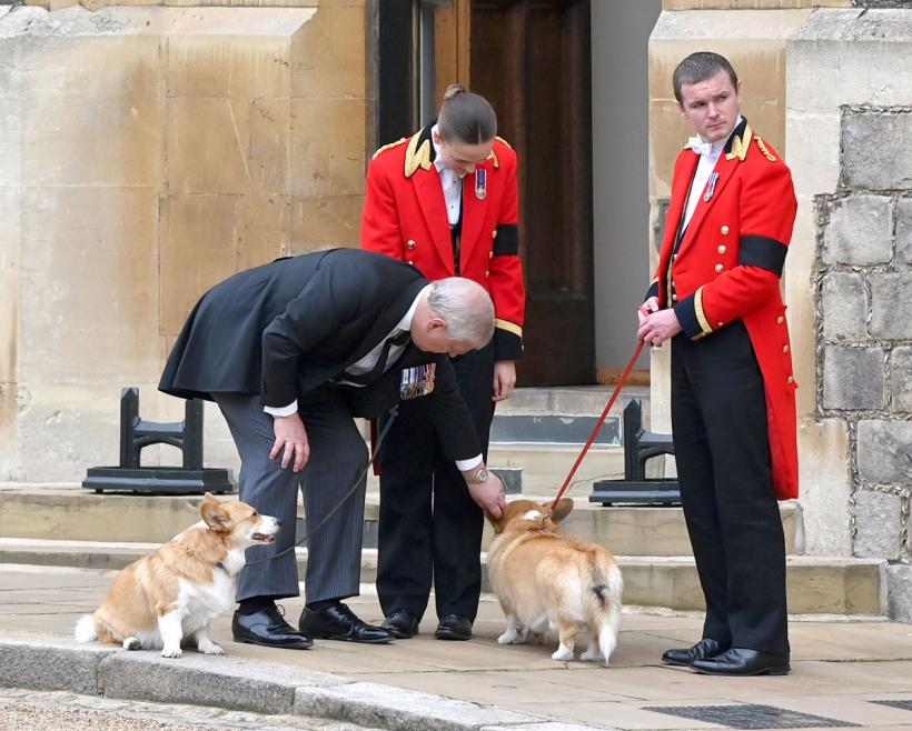 Povestea corgilor regali: Legătura specială dintre Regina Elisabeta a II-a și câinii săi 19004652