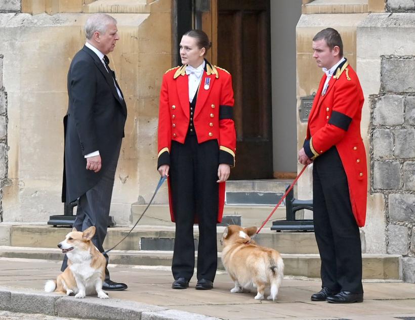 Povestea corgilor regali: Legătura specială dintre Regina Elisabeta a II-a și câinii săi 19004653