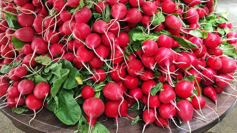 Rețete de primăvară. Cum să prepari ridichii umplute cu cremă de ouă și brânză