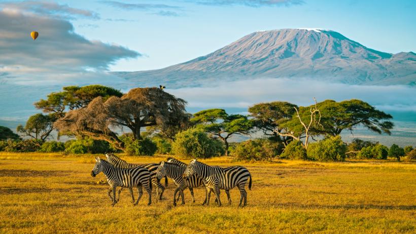 Strategia celor mai mari agenții de turism: parteneriate și listarea la bursă 19004741