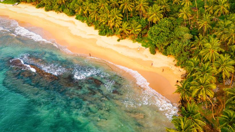 Strategia celor mai mari agenții de turism: parteneriate și listarea la bursă 19004743