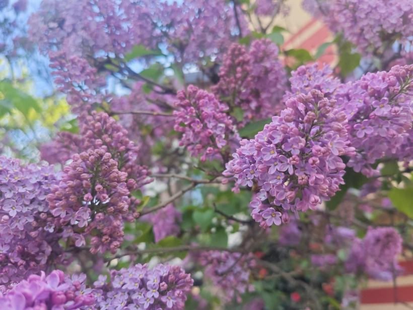 Ce se schimbă pentru fiecare zodie în 2026: transformările surprinzătoare ale anului