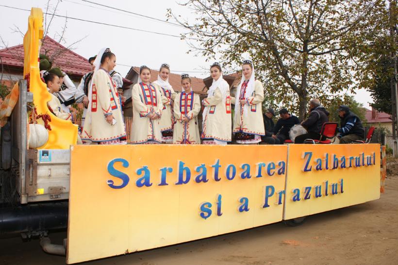 De unde s-a tras în limba română cuvântul zaibăr 19004933