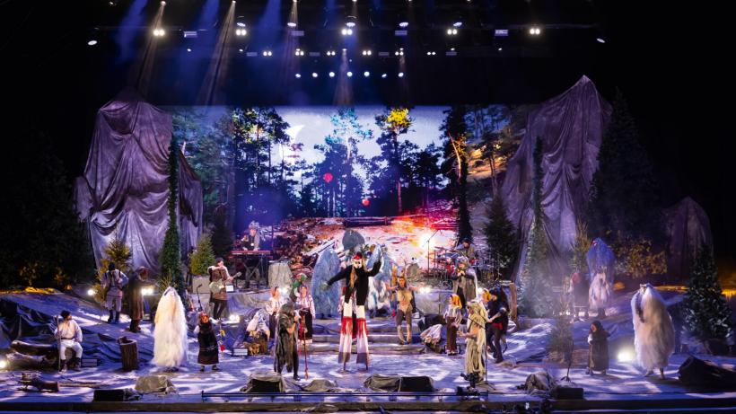 De unde s-a tras în limba română cuvântul zaibăr 19004934