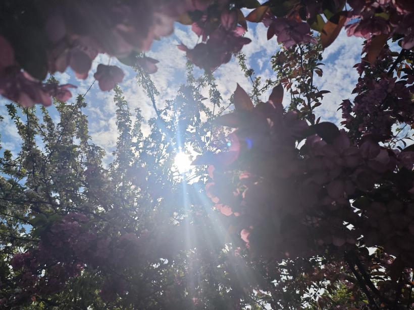 Mesajul ascuns din numerele pe care le vezi zilnic: ce urmează în viața ta