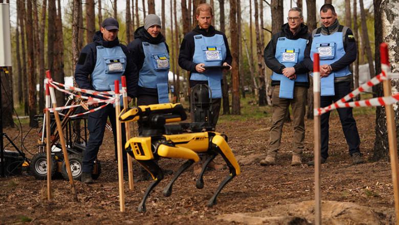 Pe urmele Dianei, 30 de ani mai târziu: Prințul Harry, misiune istorică de deminare în orașul martir Bucea