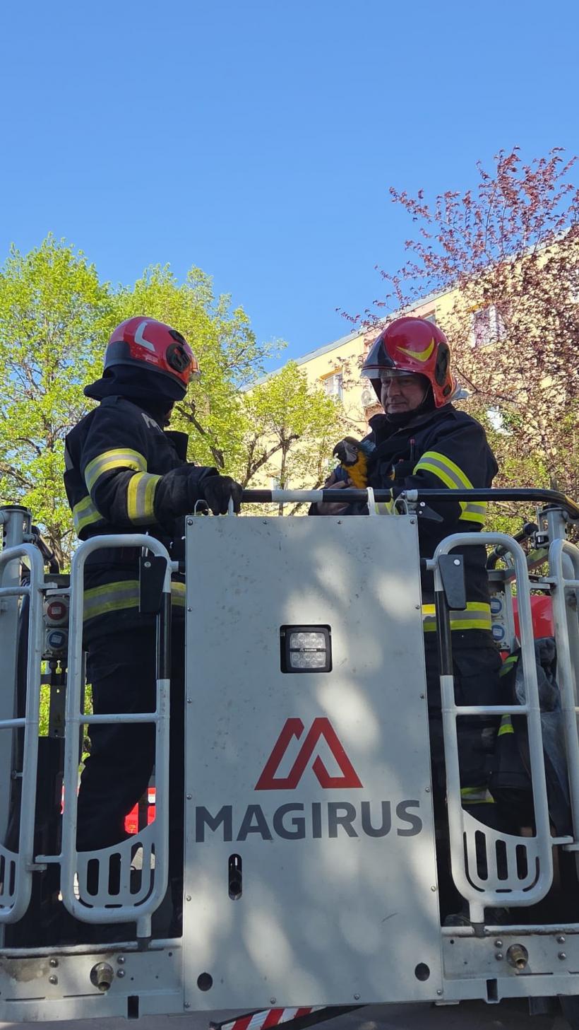 Pompierii clujeni au salvat un papagal blocat în vârful unui brad 19005497
