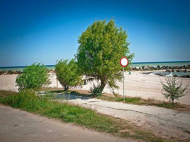 Descoperire macabră la malul mării: Cadavrul unui animal pe plaja Modern