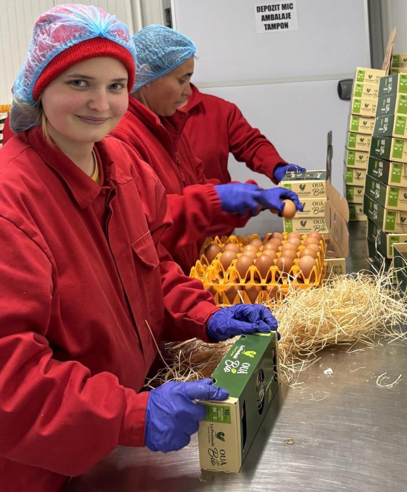 Carmistin The Food Company își consolidează poziția de lider în sectorul avicol din România, prin dublarea producției în ultimii doi ani 19005553