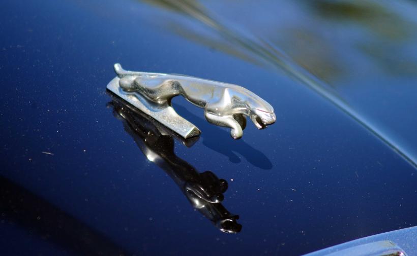 Imagini spectaculoase de la Retro Parada Primăverii 2026: mașini rare și povești fascinante din ultimul secol 19005613