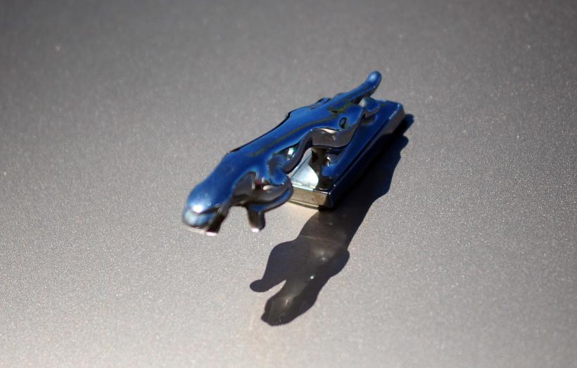 Imagini spectaculoase de la Retro Parada Primăverii 2026: mașini rare și povești fascinante din ultimul secol 19005614