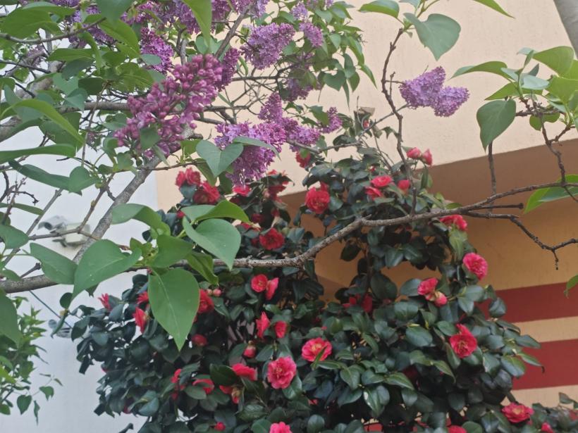 4 luni de naștere care se află în proces de vindecare după o pierdere majoră