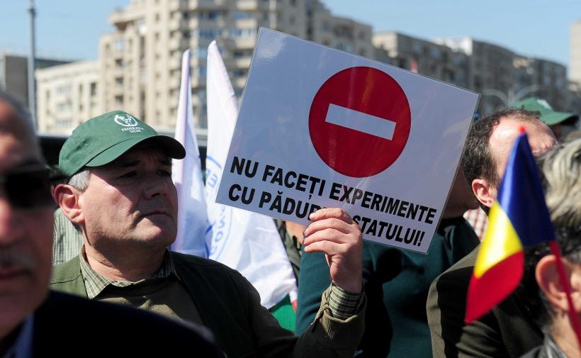 Strigătul disperării în fața Palatului Victoria: Mii de membri ai Confederației Meridian cer dreptate în stradă 19005859