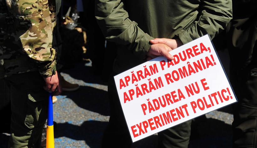 Strigătul disperării în fața Palatului Victoria: Mii de membri ai Confederației Meridian cer dreptate în stradă 19005863