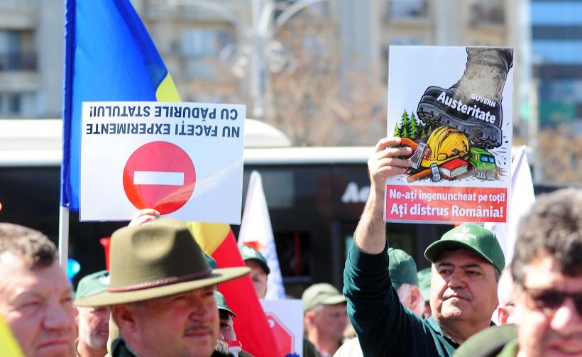 Strigătul disperării în fața Palatului Victoria: Mii de membri ai Confederației Meridian cer dreptate în stradă 19005870