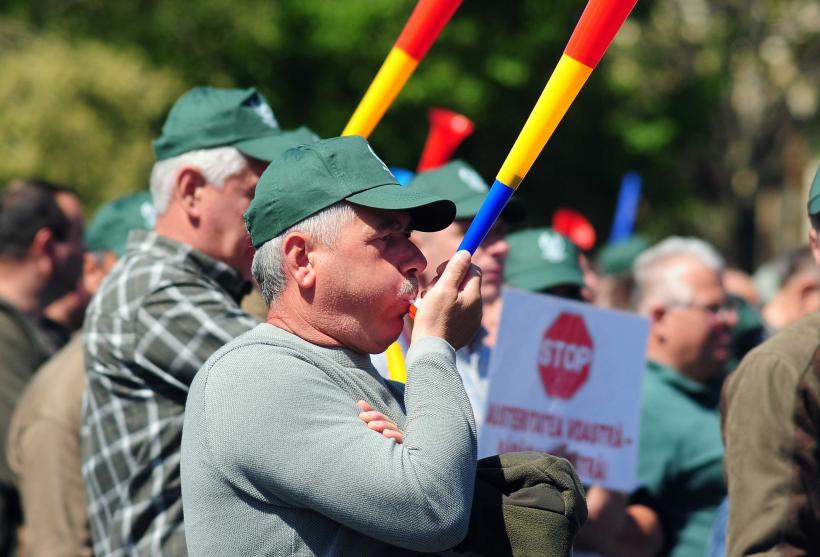 Strigătul disperării în fața Palatului Victoria: Mii de membri ai Confederației Meridian cer dreptate în stradă 19005878