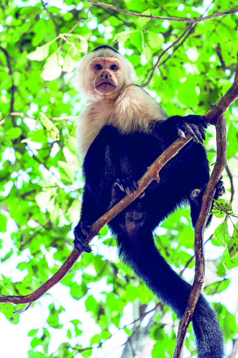 „În sezonul uscat avem clienți. În sezonul ploios avem conversații” 19006201