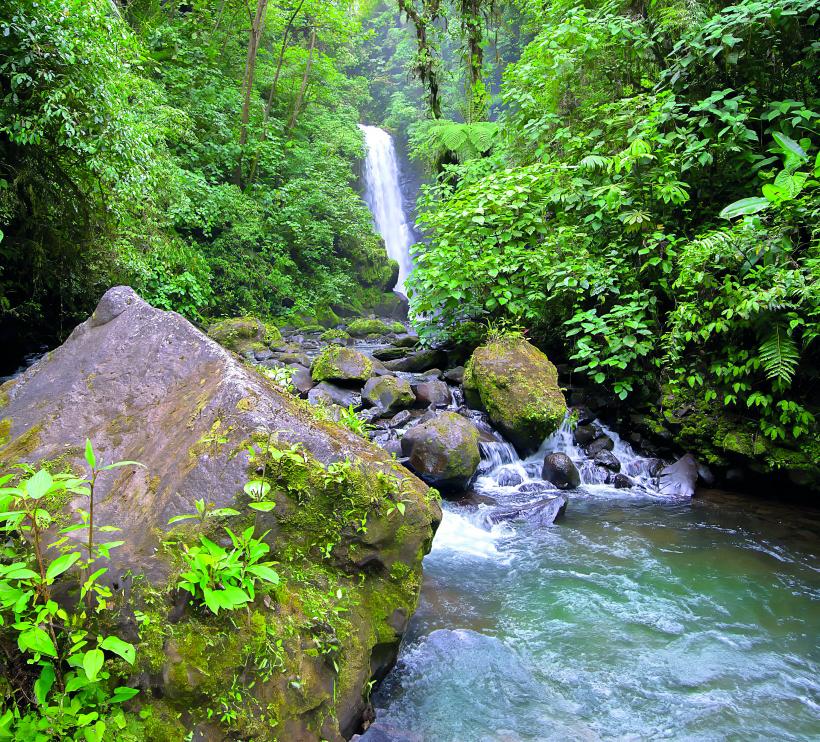 „În sezonul uscat avem clienți. În sezonul ploios avem conversații”